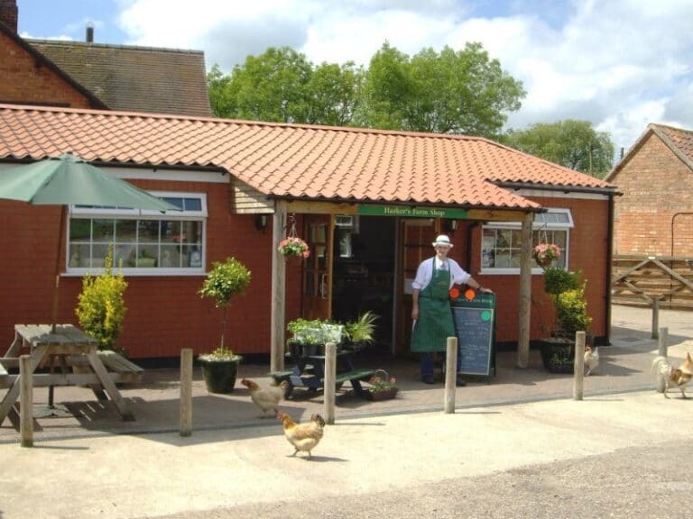 1951 harkersn 768x576