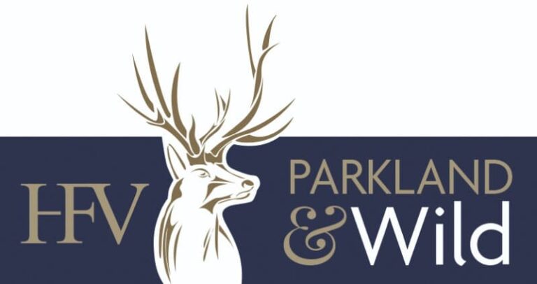 4727 HFV LOGO 300dpi 768x406