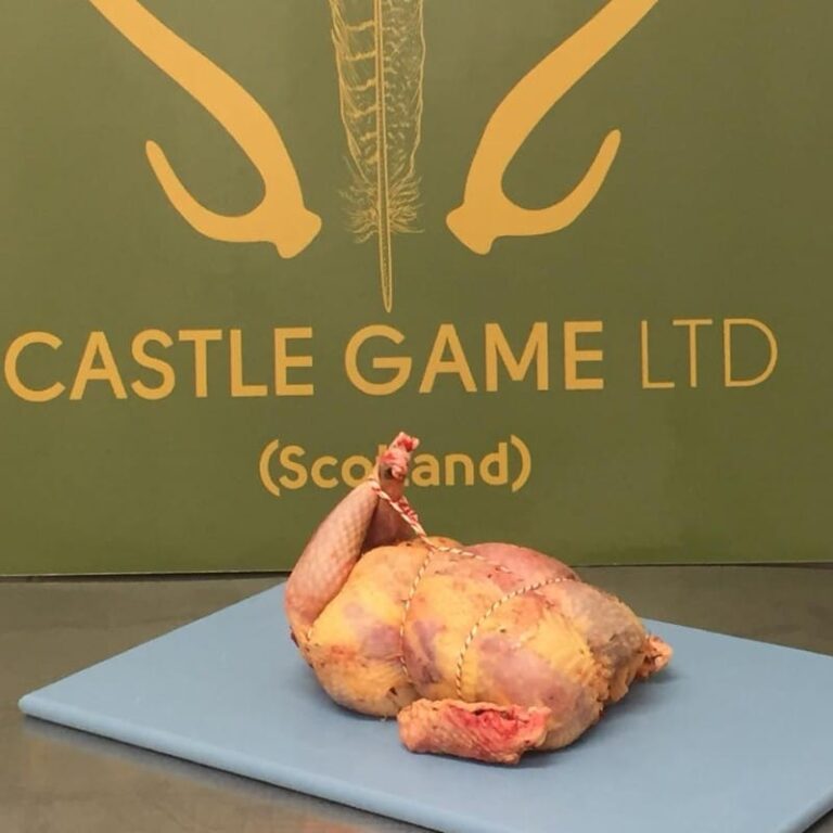 4883 castle1 768x768