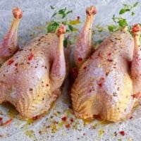 5898 field of dreams