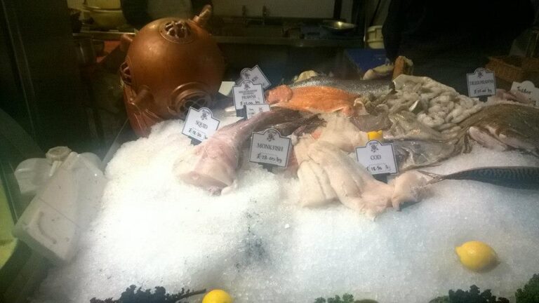 10978542 866584053385440 6309157436147365160 n 768x432