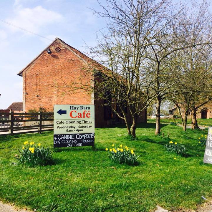 10985865 872135789492283 1087300519283990353 n