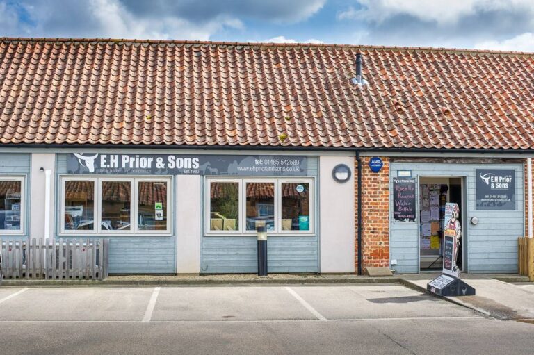 18156803 398847377168919 810779772070677749 o 768x511