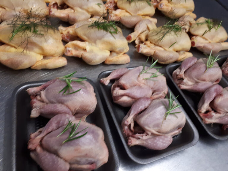 20180720 084229 resized 1 768x576