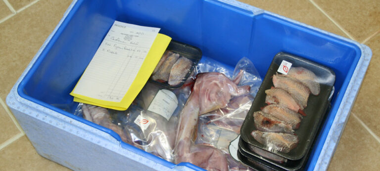 Packed and Delivered 768x346