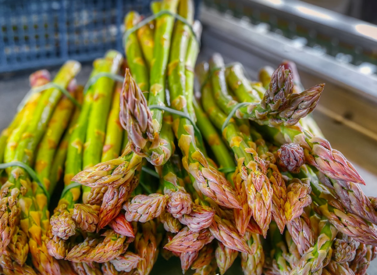 Screenshot 2021 10 13 at 11 33 35 Fresh Local Seasonal Produce Sussex South Brockwells Farm 768x559