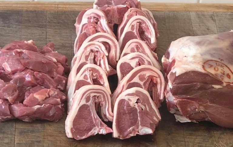 Screenshot 2021 10 13 at 12 22 33 Home home 768x487