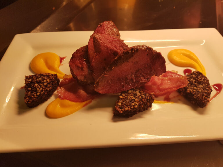 pigeon starter 768x576