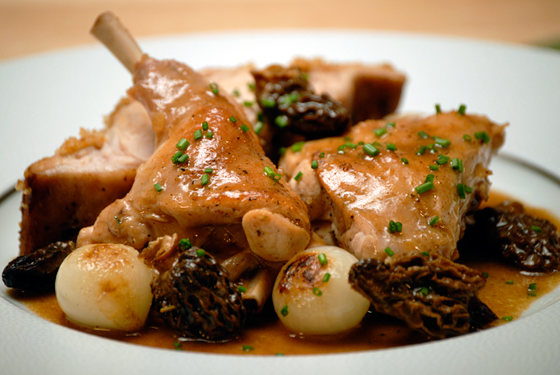 rabbit with morels560