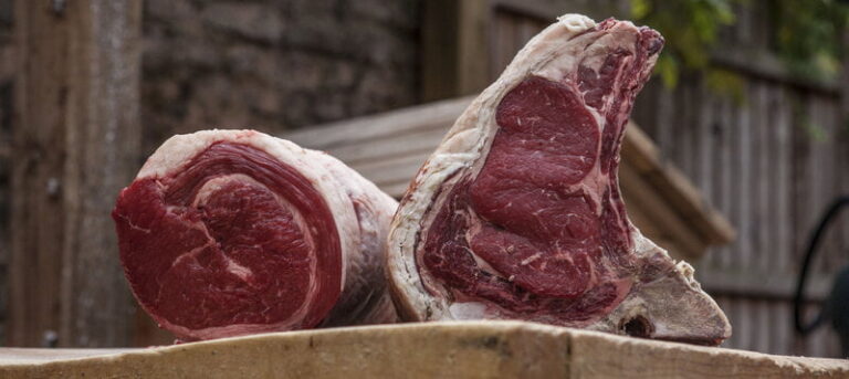 rsz beef in garden 768x343