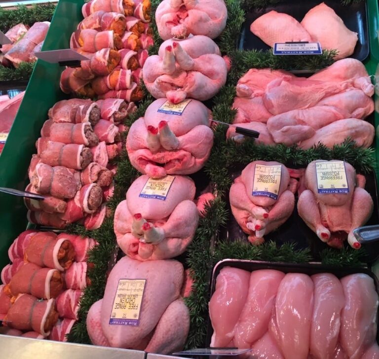 thumbnail IMG 3925 768x728