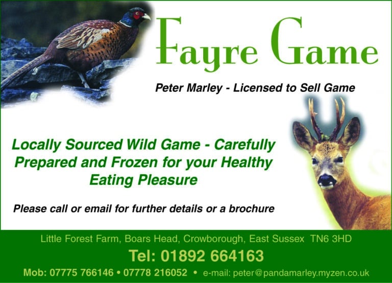 Fayre Game ad 768x554