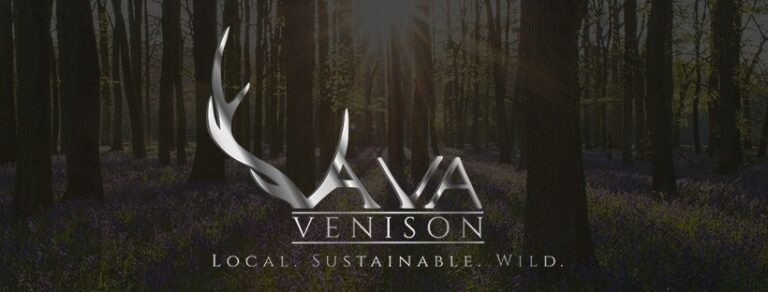 222987581 151528057051898 5358889876521711803 n 768x292